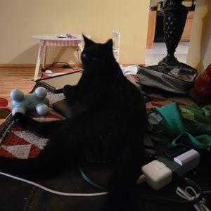 Meet your Posher, Jennifer